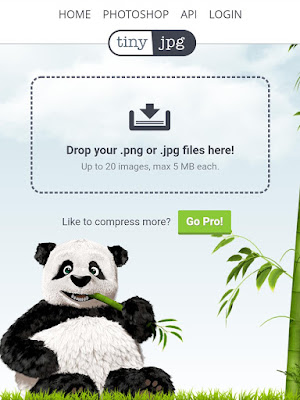 Compress your blog images using TinyJPG