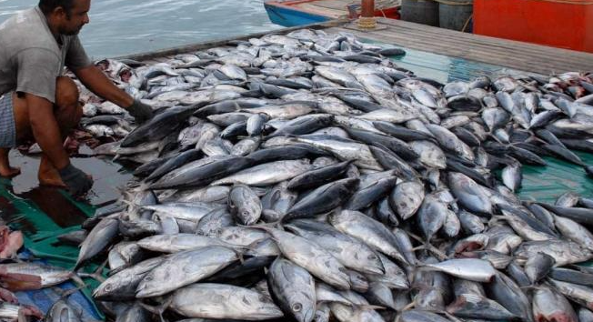 Ilmuwan Temukan Hampir 200.000 Jenis Virus di Laut Lepas