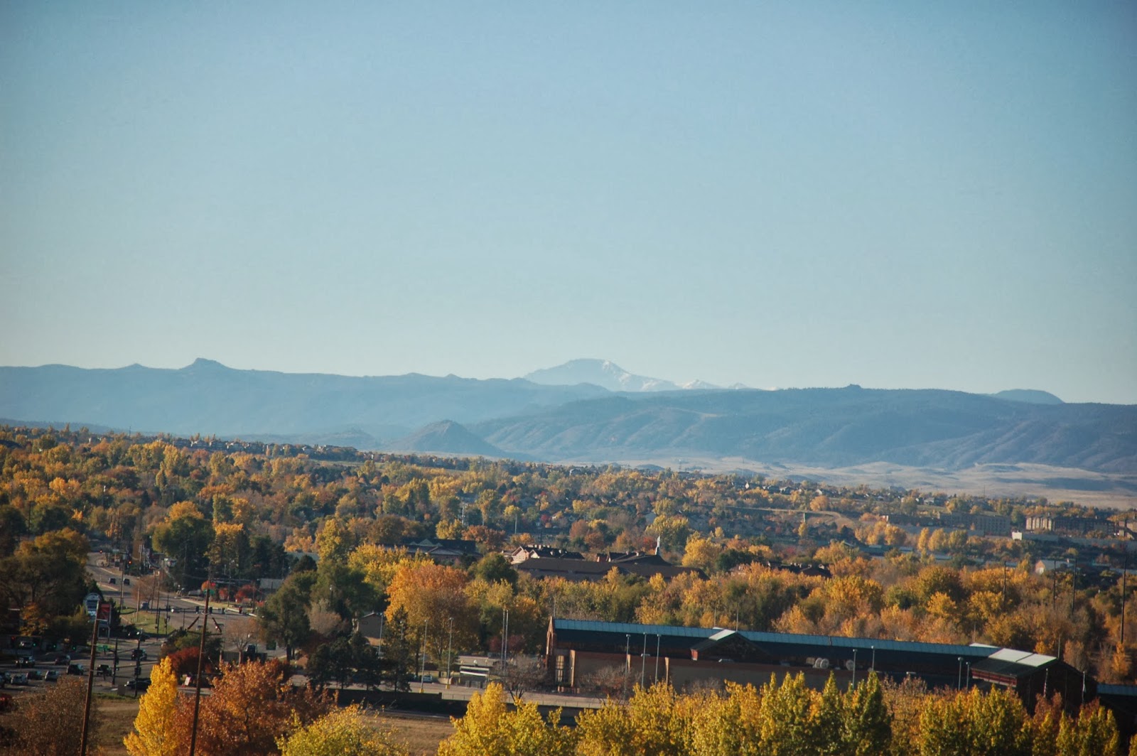 Z's World Littleton, CO