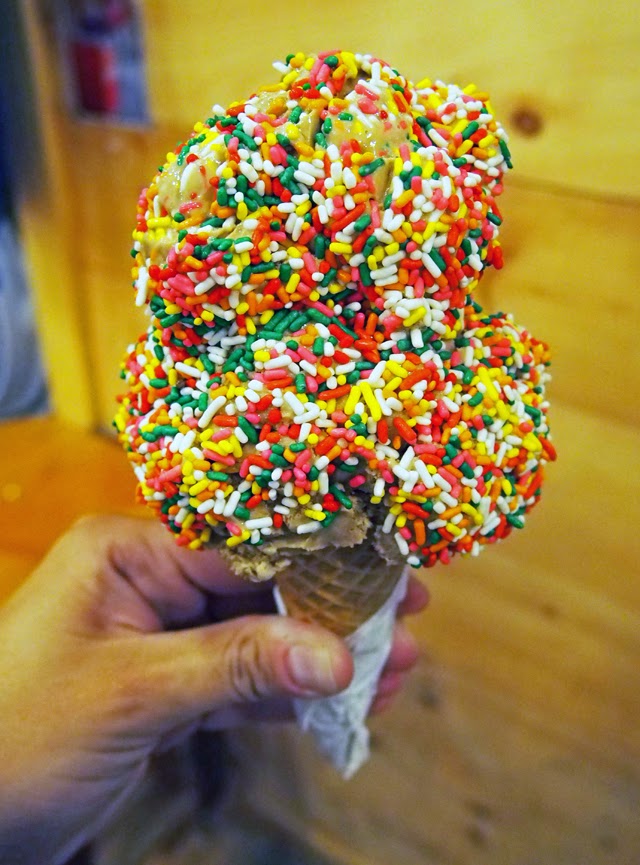 FFG Travel Bite Ice Cream at the Scoop Deck, Wells, Maine Emily Jane