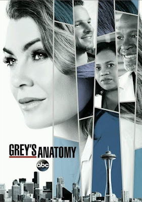 Grey's anatomy saison 14