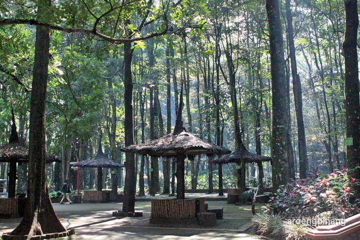 taman hutan raya ir. h. juanda bandung