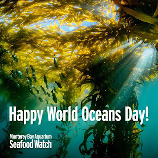 World Oceans Day HD Pictures, Wallpapers