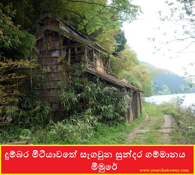 දුම්බර මිටියාවතේ සැගවුන සුන්දර ගම්මානය - මීමුරේ 🌾🏕️🏞️🏜️🗾⛰️ (Meemure) - Your Choice Way