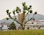 Haystacks of Rishikesh