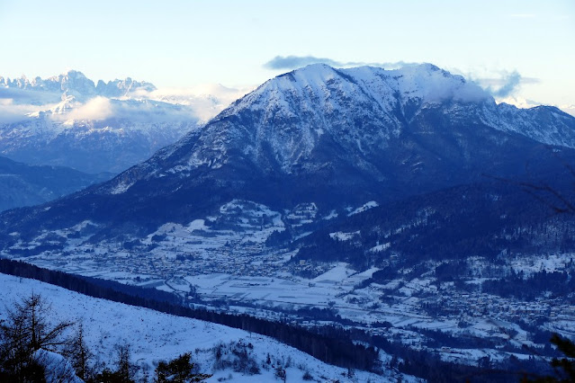 il respiro degli alberi