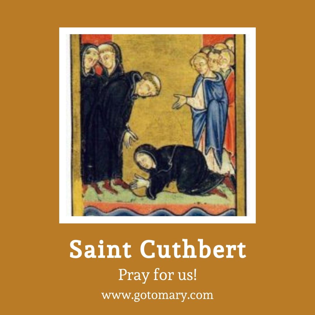 Saint Cuthbert Go to Mary