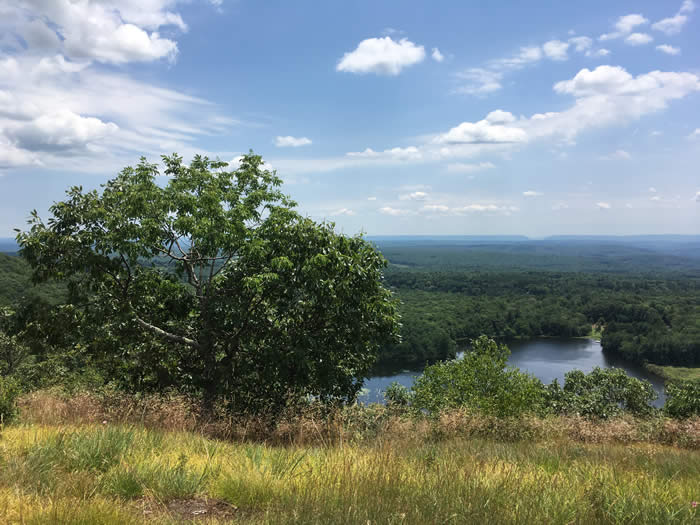 PA Environment Digest Blog Plan For Clean Water Will Guide Monroe