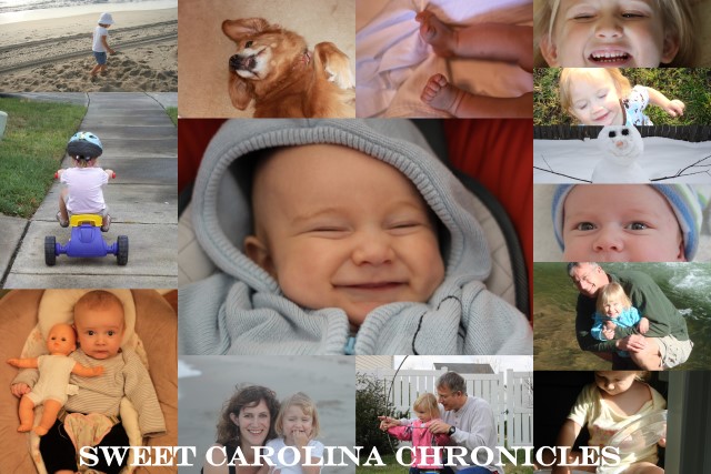 Sweet Carolina Chronicles