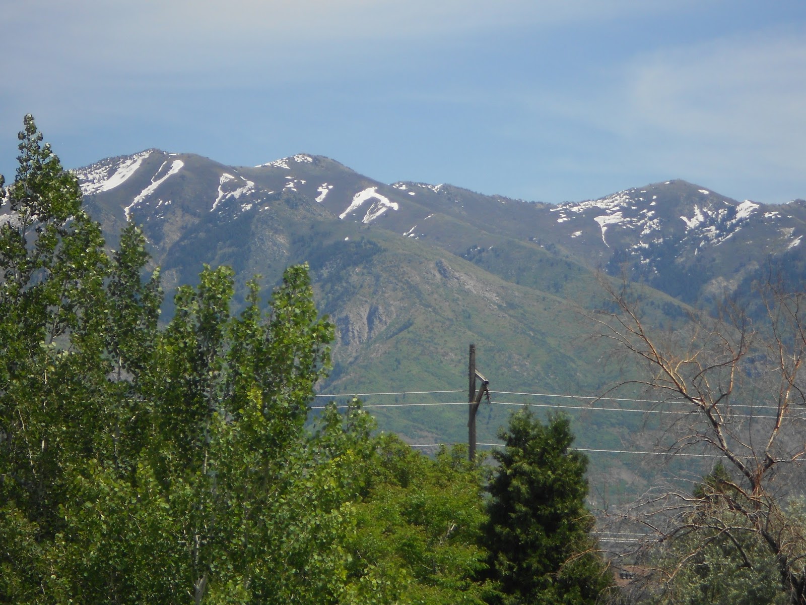 The Mystery Of Utah History Layton’s ‘Snow Horse’ gallops into view