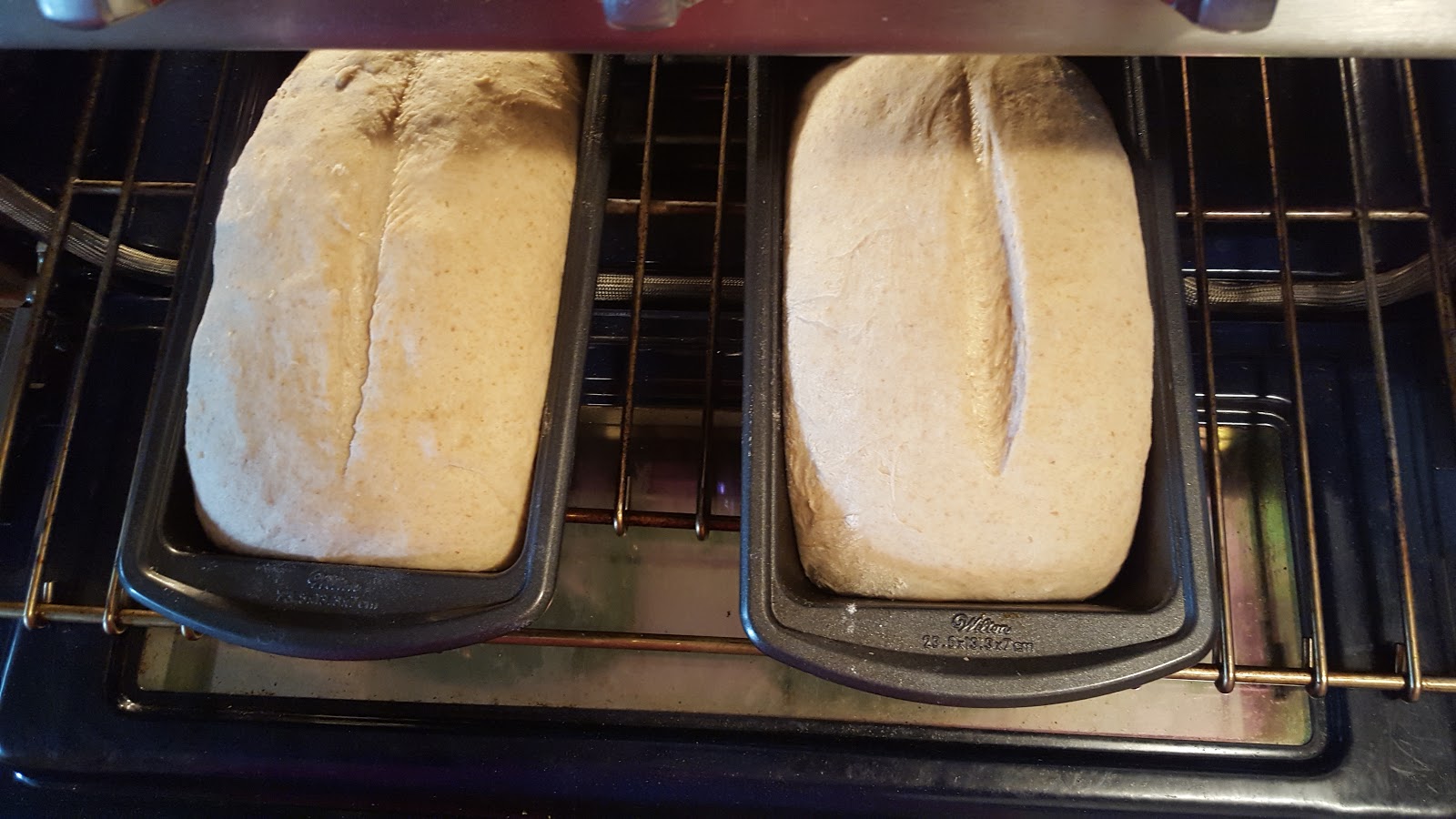 Unveiling the Science Behind Slits in Baking A Bread Enigma Del