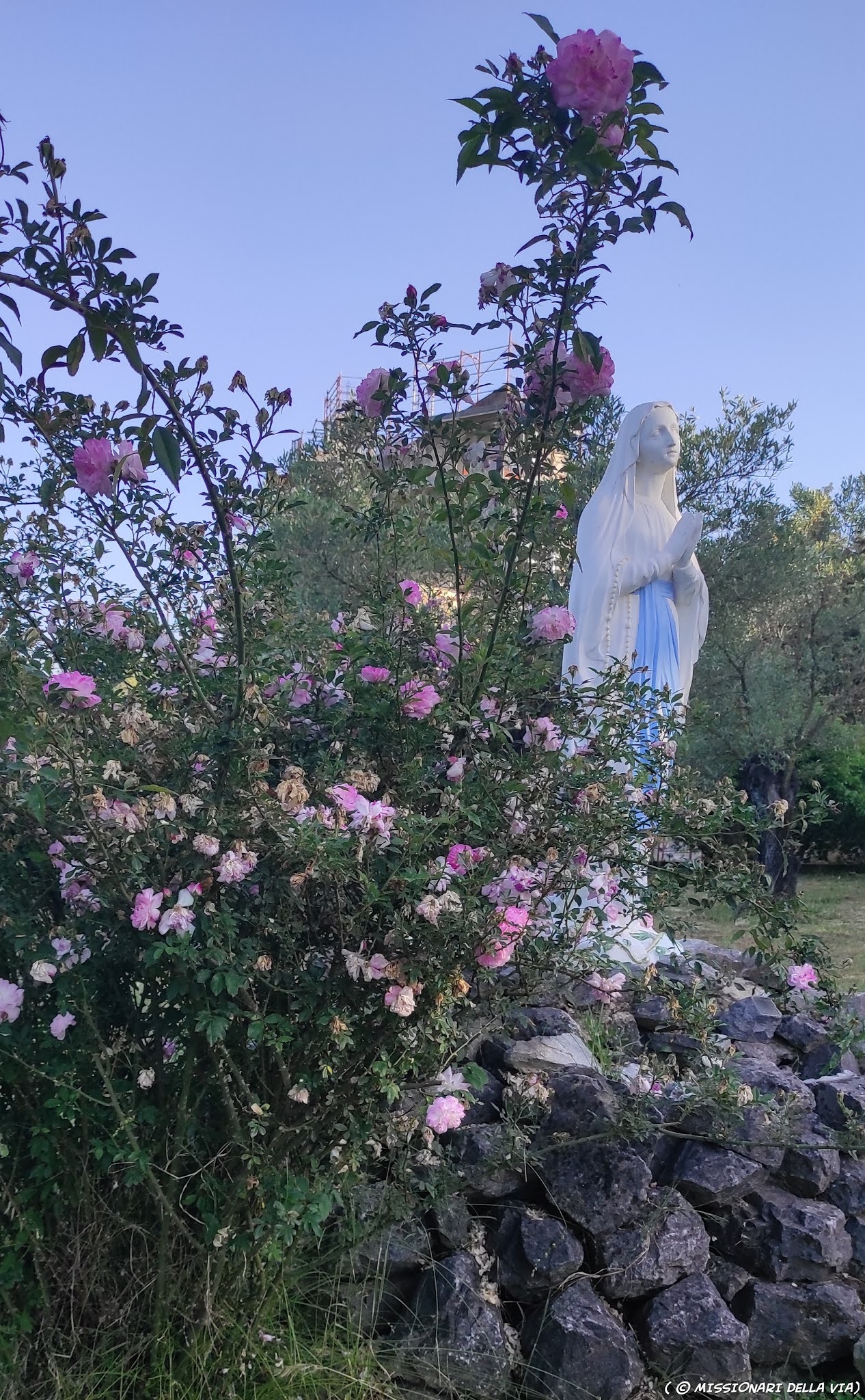 Blog dei Missionari e Missionarie della Via Mese di Maggio a Lamezia Terme