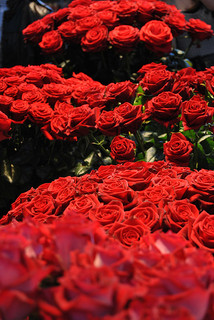 Ramos de rosas rojas