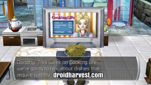 Cooking Guide - Harvest Moon: Innocent Life Walkthrough