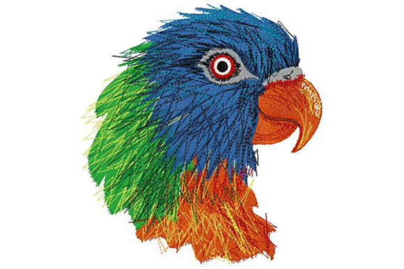 Colorful exotic parrot  svg file  best free svg images