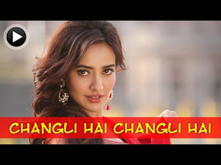 Changli Hai Changali Hai Lyrics in Hindi from Yamla Pagla Deewana 2