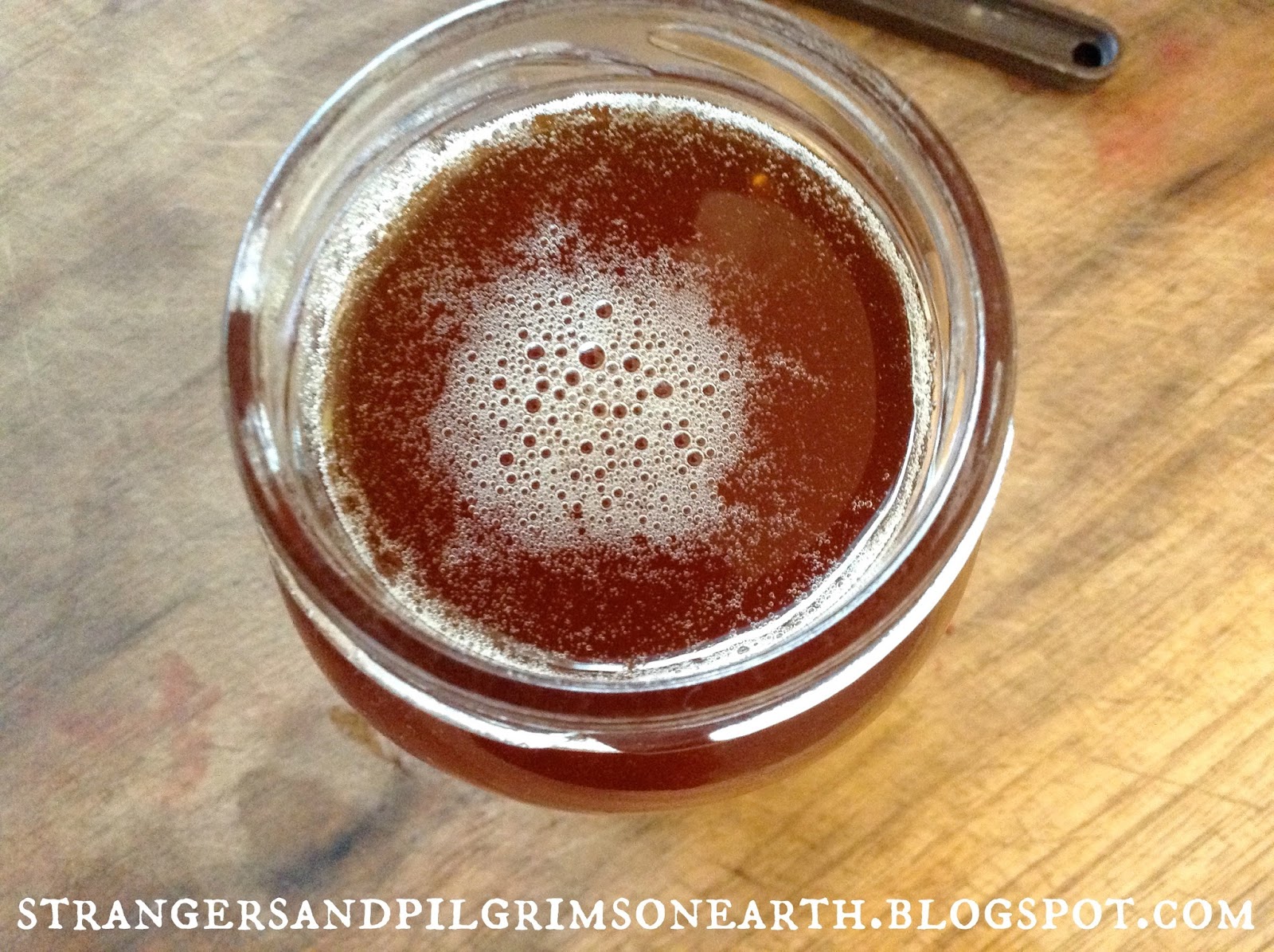 Strangers & Pilgrims on Earth DIY How to Make & Can Fruit Syrups