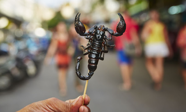 Scorpion on a stick