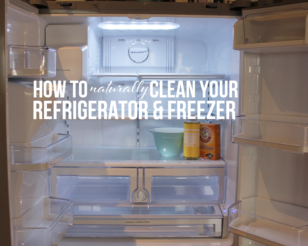 How to clean your Fridge & Freezer