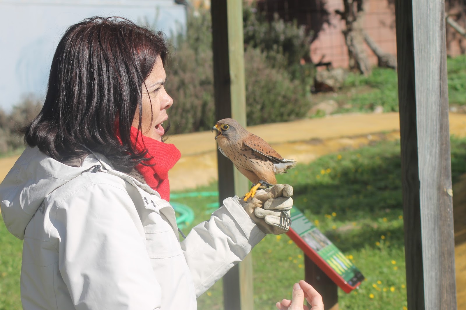 c-ceres-al-natural-de-visita-al-centro-de-recuperaci-n-de-aves-de