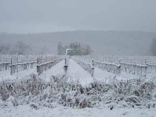 Life Is Better On Vacation Structures