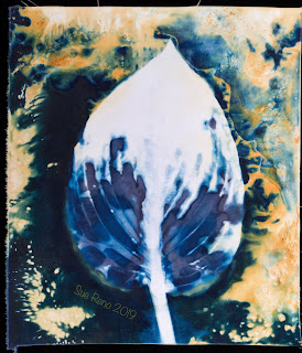 Wet cyanotype_Sue Reno_Image 623