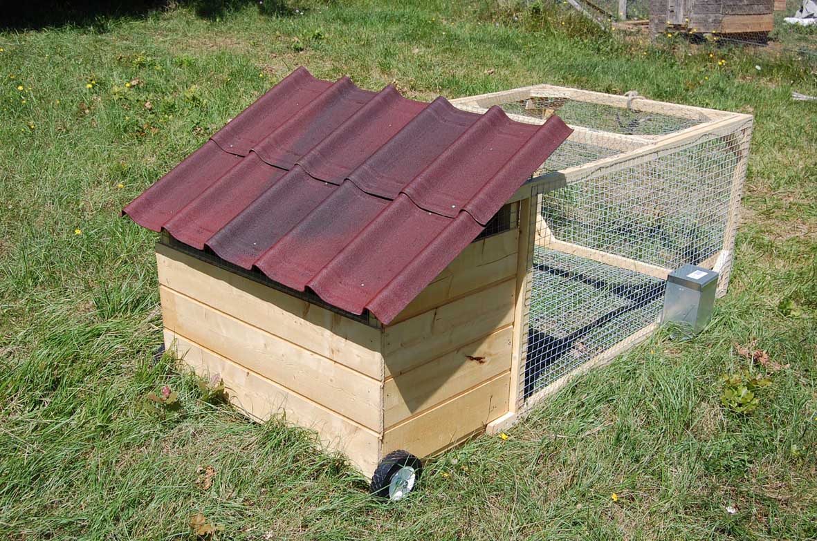 The (d)evolutionary: How to make a mobile rabbit run