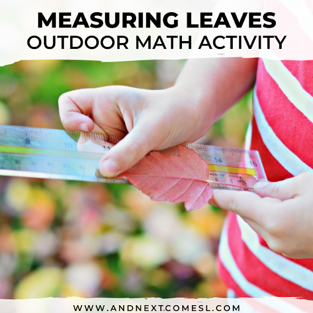 Measuring leaves outdoor math activity for kids