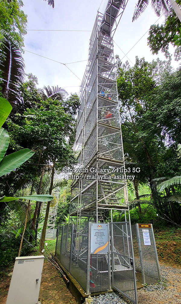 FRIM Forest Skywalk Tower