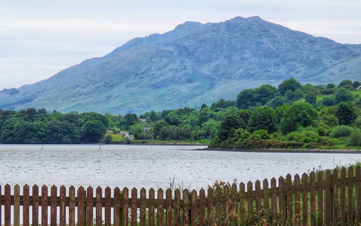 How to Plan the Best Road Trip to Carlingford Lough from Dublin