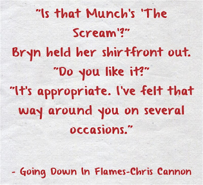 What's Beyond Forks?: Book Review: Going Down in Flames by Chris Cannon