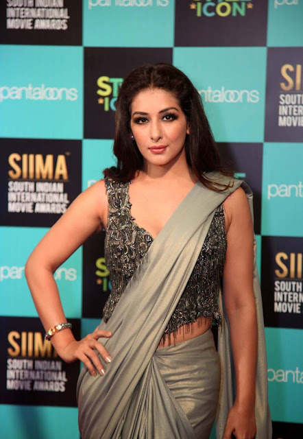SAMEEKSHA SINGH stills in saree during at SIIMA Awards 2019