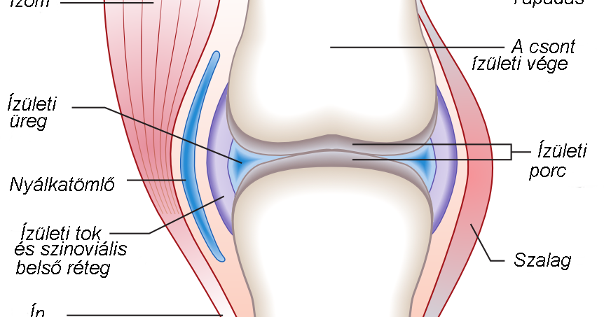vállízület artrózis kezelése