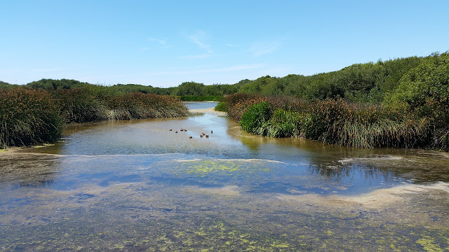 Riserva Naturale Regionale sul fiume Stella