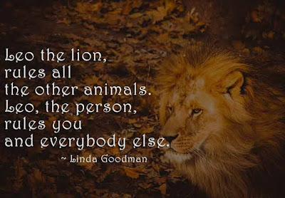 Lion In The Jungle Quotes