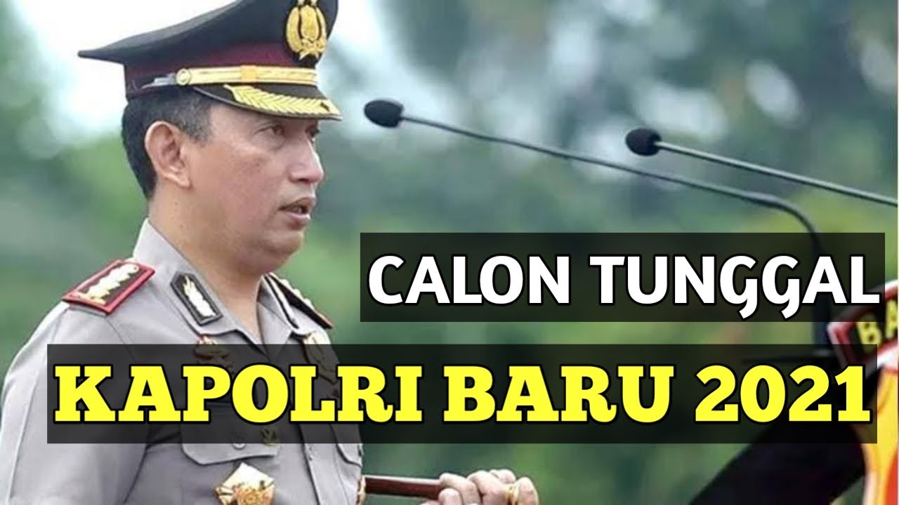 Heboh! Sepak Terjang Hewan Eksotis Billy Davidson