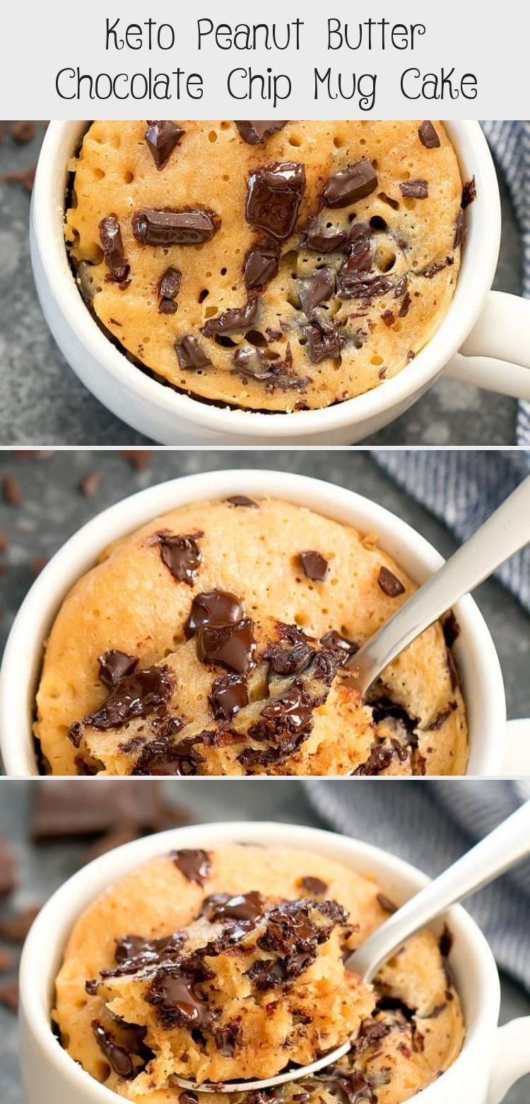 PEANUT BUTTER CHOCOLATE CHIP MUG CAKE Believe the Taste!