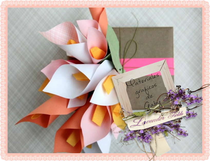 Materiales gráficos Gaby