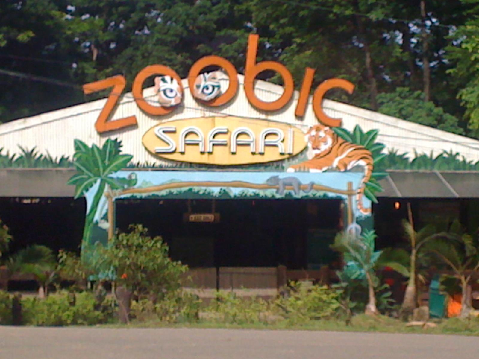 zoobic safari phone number