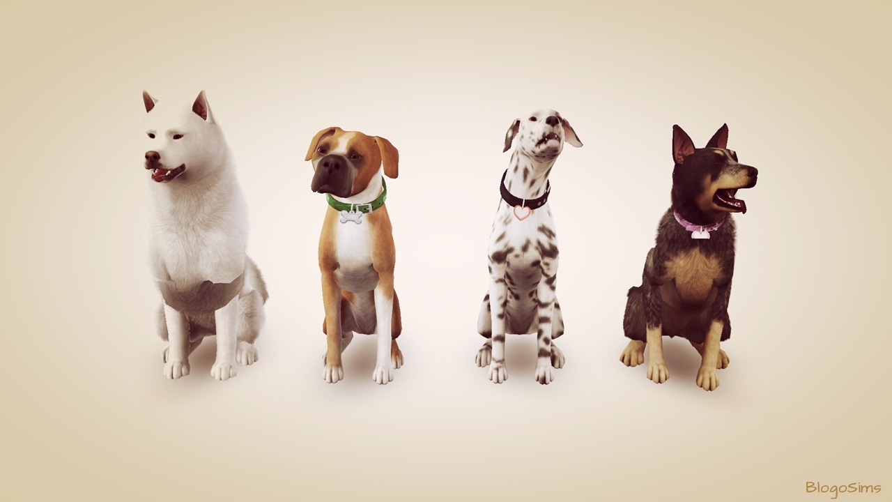 Best Daily Sims 3 S3 Large Dog Poses by BlogoSims