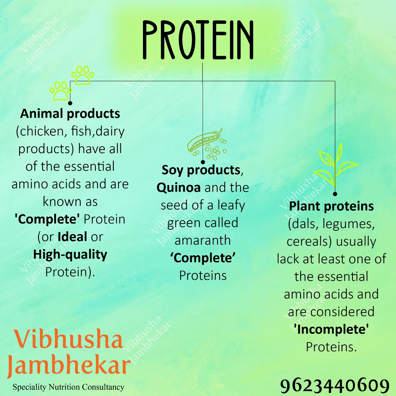 16 high protein diet ideas