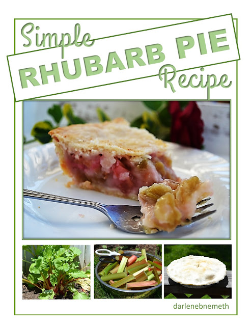 Rhubarb Pie