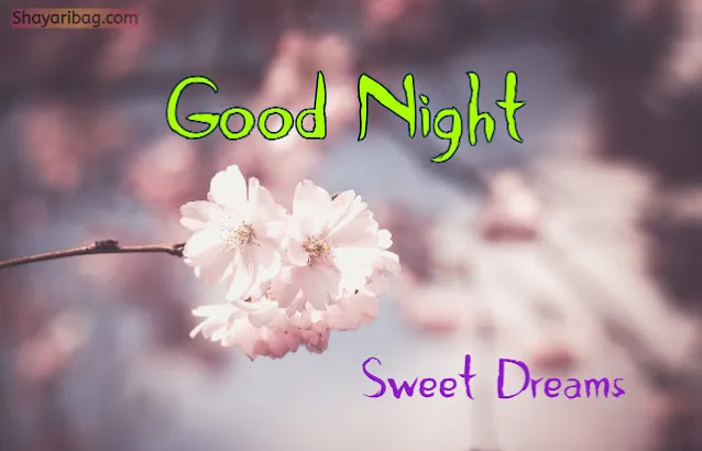 Good Night Flowers Images For Whatsapp Good Night Flowers Images For Whatsapp