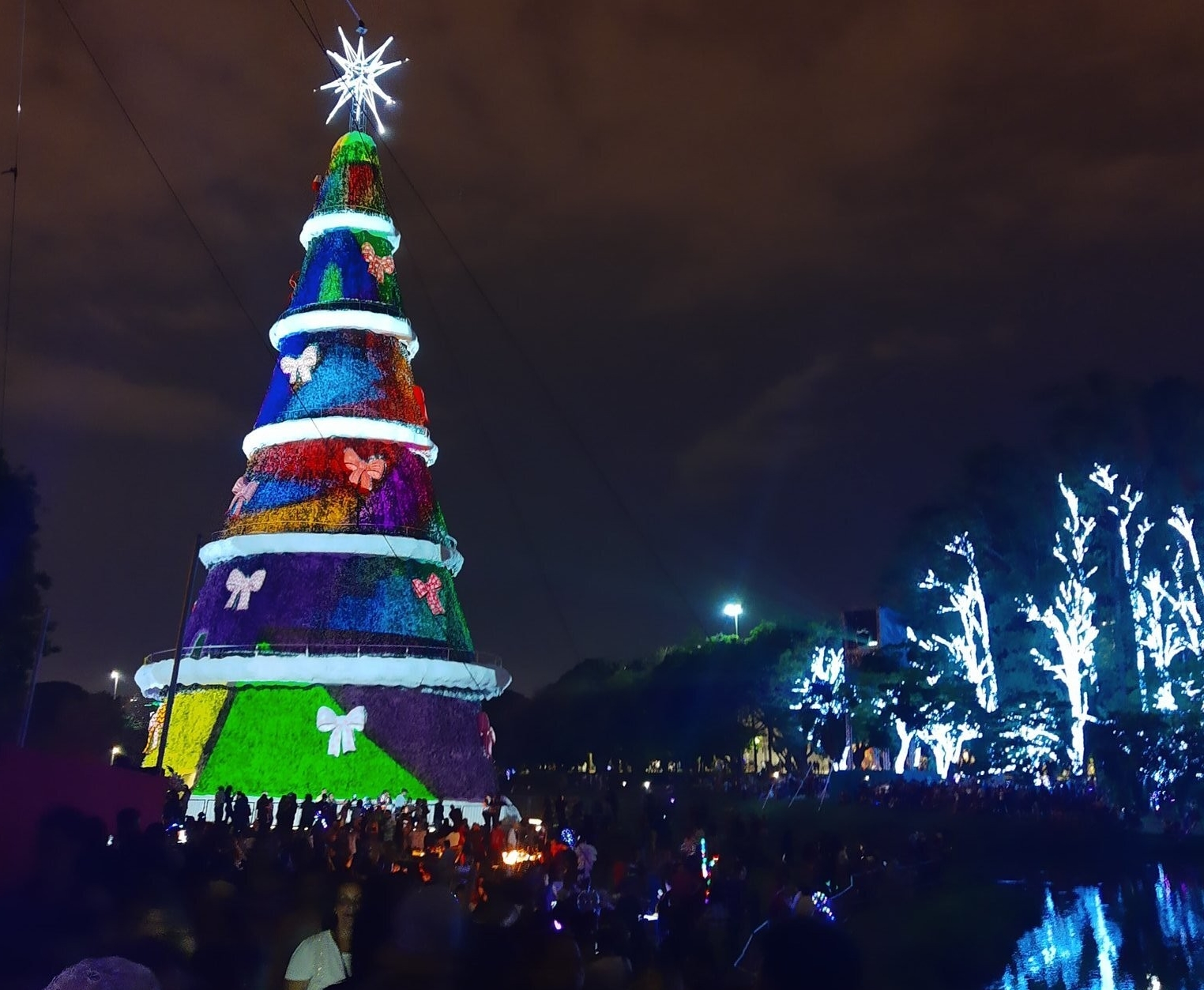 Natal em São Paulo: confira as atrações natalinas pela cidade