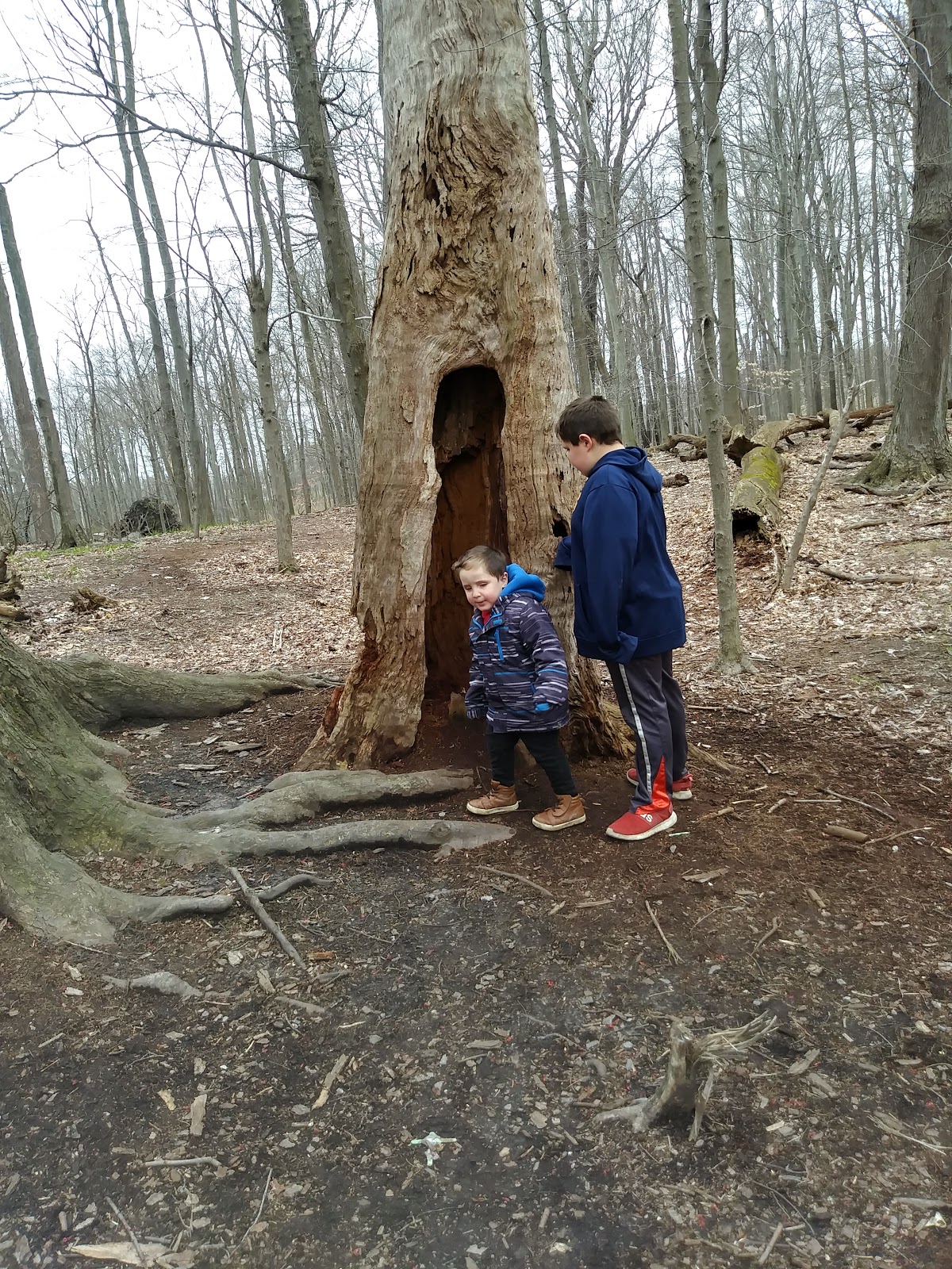 Andrew, Jonathan & Alexander Stiglmeier Park