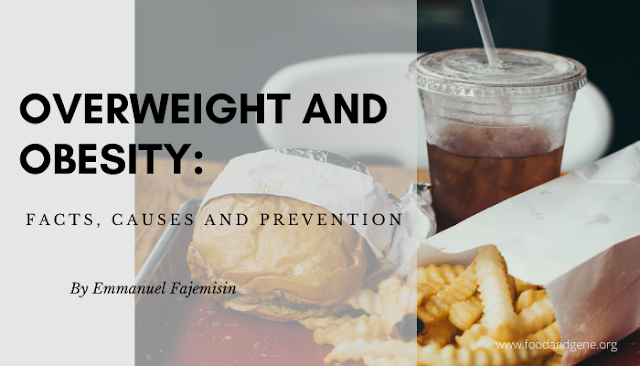 Overweight and Obesity: Facts, Causes and Prevention