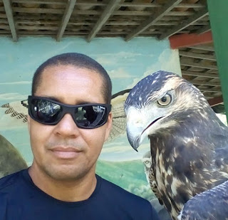 Parque dos Falcões: hospital, abrigo e escola das aves de rapina Foto divulgação do Parque dos Falcões - Matéria Parque dos Falcões - BLOG LUGARES DE MEMÓRIA