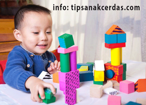 Permainan Mencerdaskan Anak Bayi Yang Sangat Mudah Dilakukan