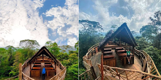 Lokasi dan Potret Keindahan Wisata Rumah Pohon Perahu Tugu Kuliki