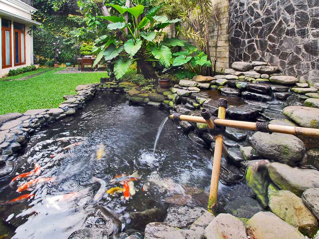 tukang taman bogor,tukang taman dibogor,jasa tukang taman profesional